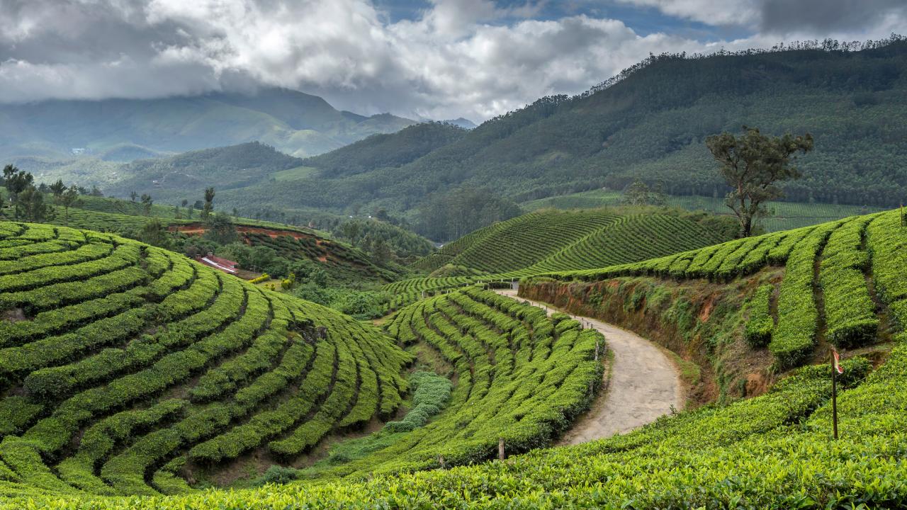 Madurai to Munnar